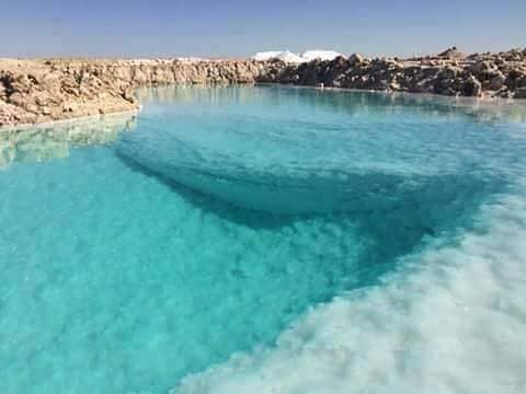 ملاحة الرايزونية